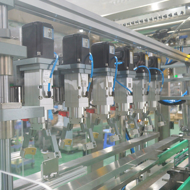 10 Cappaggio della coppia di coppia per la linea di confezionamento di detersivi liquidi di buona vendita